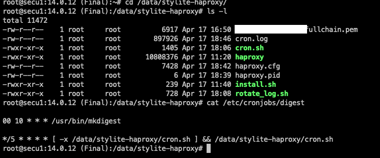 CLI-Ausgabe: cat /etc/cronjobs/digest zeigt die hinzugefügte HAProxy-Cron-Zeile auf der Securepoint UTM
