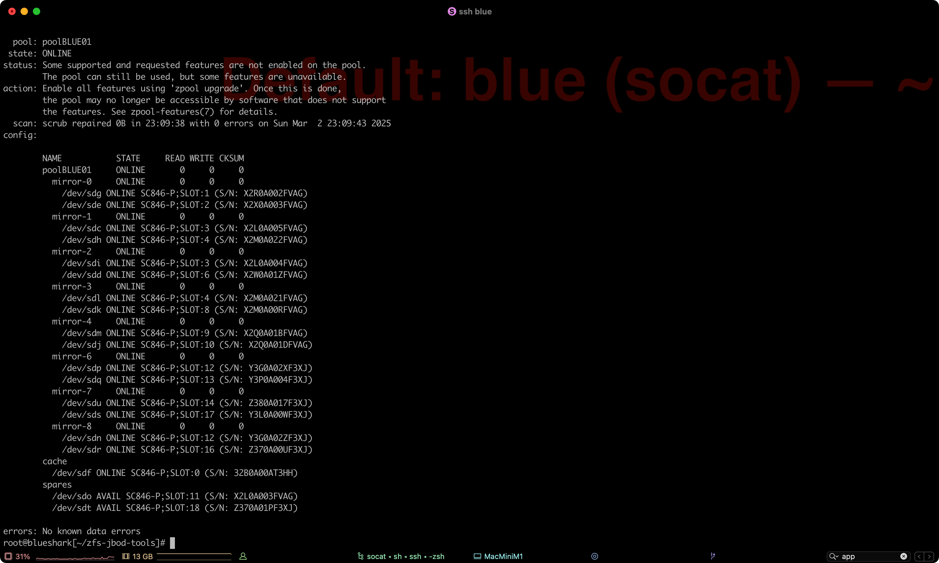 ZFS Pool Status
